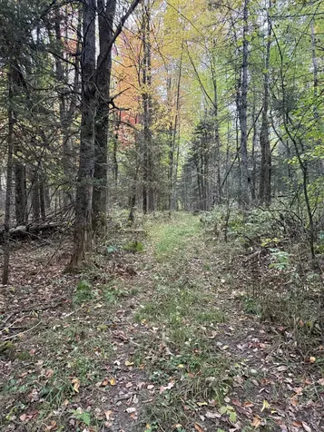 412 Boulder Drive Derby VT 05829