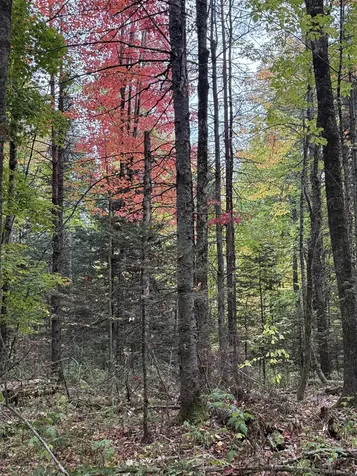 412 Boulder Drive Derby VT 05829