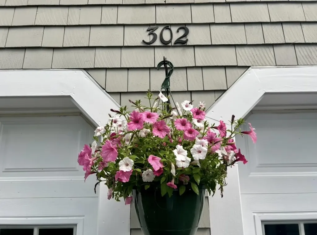 302 Dockham Shore Road Gilford NH 03247