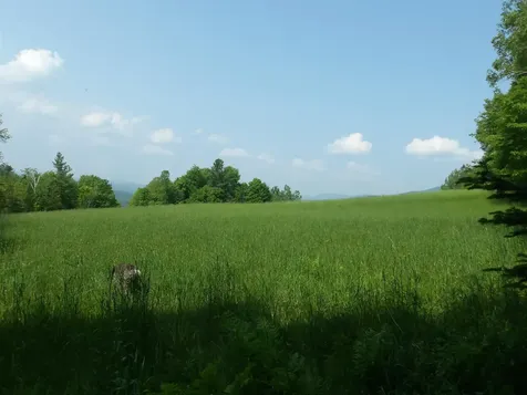 4 & 5 Forest Lane Lyndon VT 05851