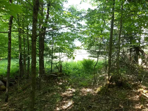 4 & 5 Forest Lane Lyndon VT 05851