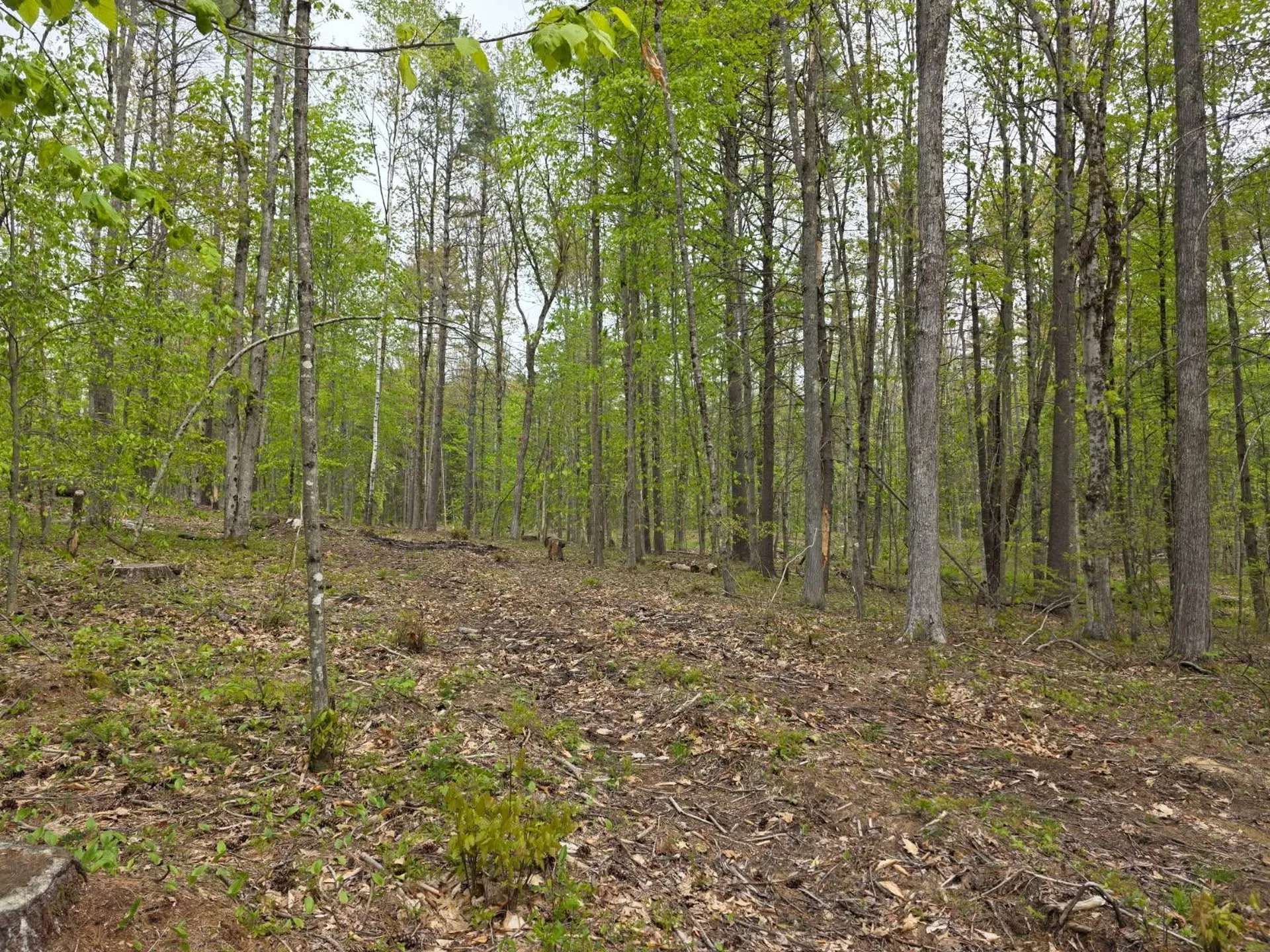 821 Cross Country Road Pembroke NH 03275