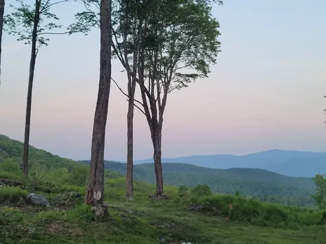 817 Wade Pasture Road Stowe VT 05672