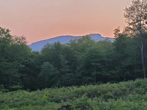 817 Wade Pasture Road Stowe VT 05672
