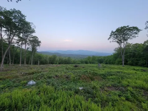 817 Wade Pasture Road Stowe VT 05672