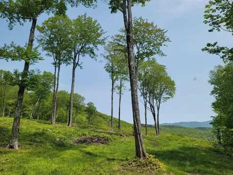 817 Wade Pasture Road Stowe VT 05672