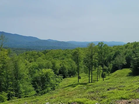 817 Wade Pasture Road Stowe VT 05672