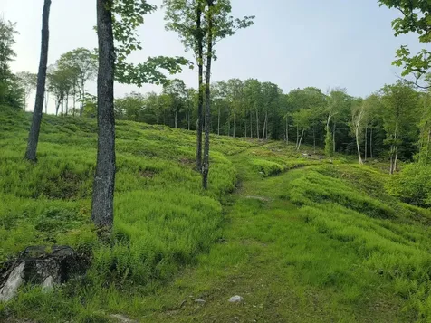 817 Wade Pasture Road Stowe VT 05672