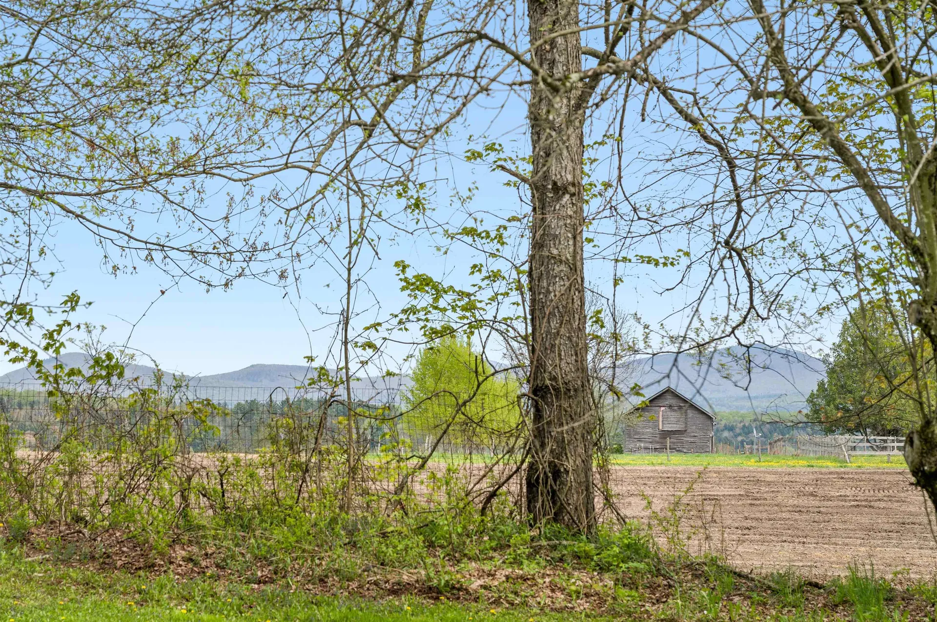 1000 Sibley Road East Montpelier VT 05651