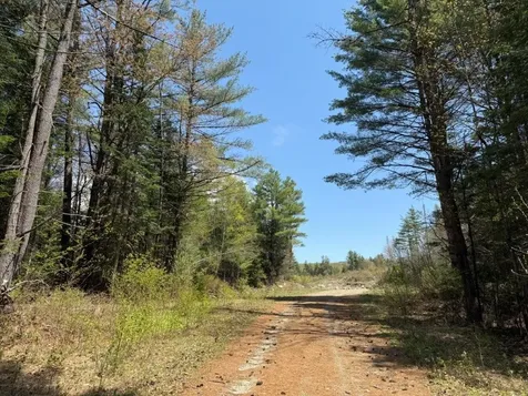 Nh Route 118 Canaan NH 03741
