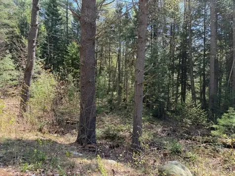 Nh Route 118 Canaan NH 03741