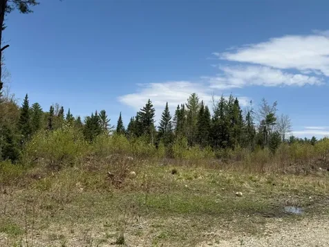 Nh Route 118 Canaan NH 03741