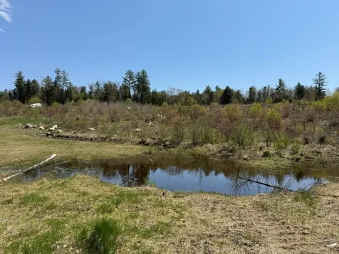 Nh Route 118 Canaan NH 03741