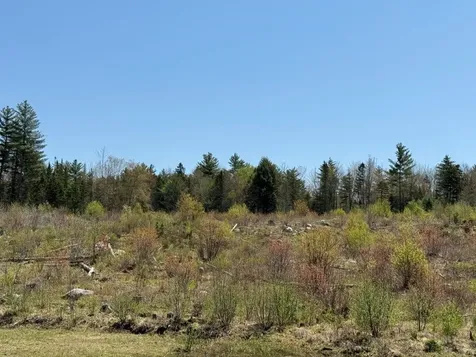Nh Route 118 Canaan NH 03741