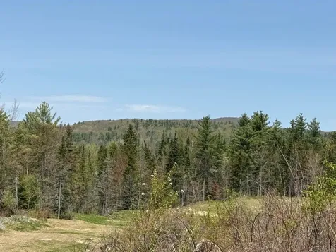 Nh Route 118 Canaan NH 03741