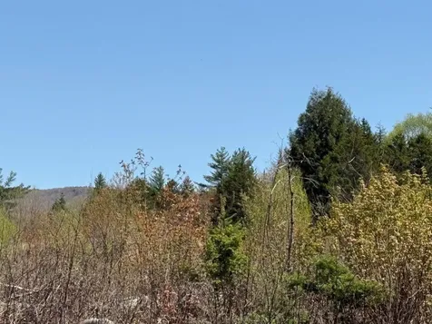 Nh Route 118 Canaan NH 03741