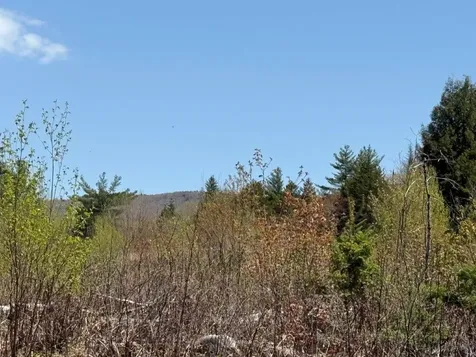 Nh Route 118 Canaan NH 03741