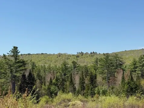 Nh Route 118 Canaan NH 03741