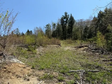 Nh Route 118 Canaan NH 03741
