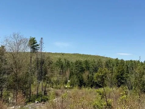 Nh Route 118 Canaan NH 03741