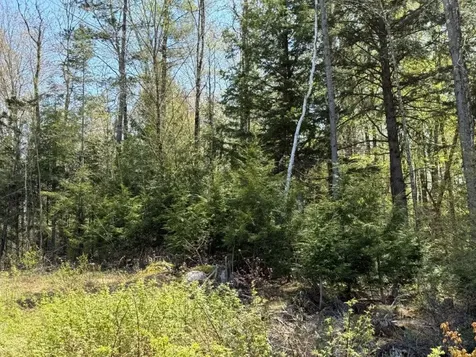 Nh Route 118 Canaan NH 03741