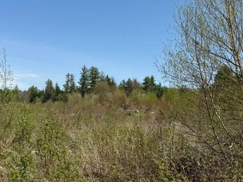 Nh Route 118 Canaan NH 03741