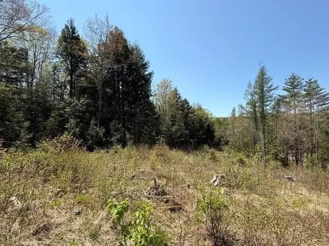 Nh Route 118 Canaan NH 03741