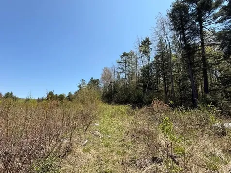 Nh Route 118 Canaan NH 03741