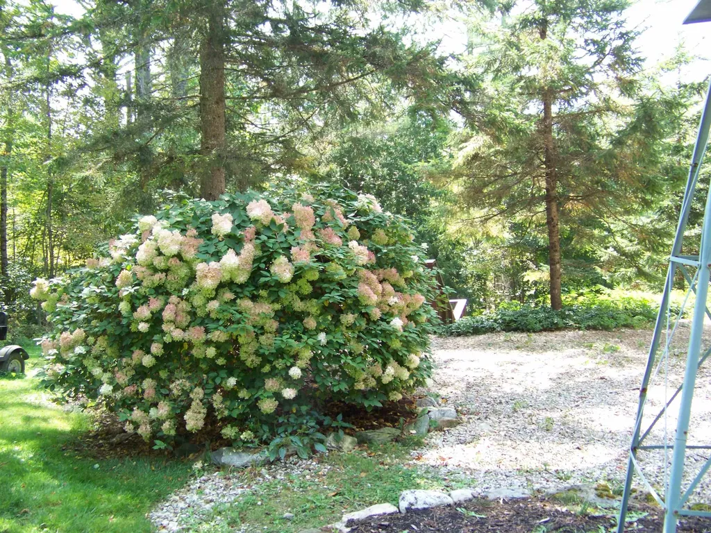 111 Forest Lane Rochester VT 05767