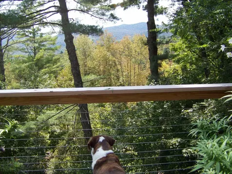 111 Forest Lane Rochester VT 05767