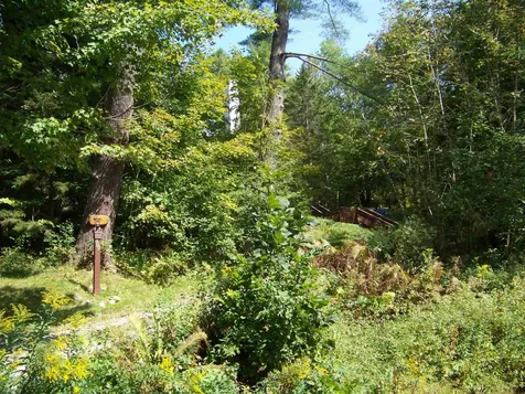 111 Forest Lane Rochester VT 05767