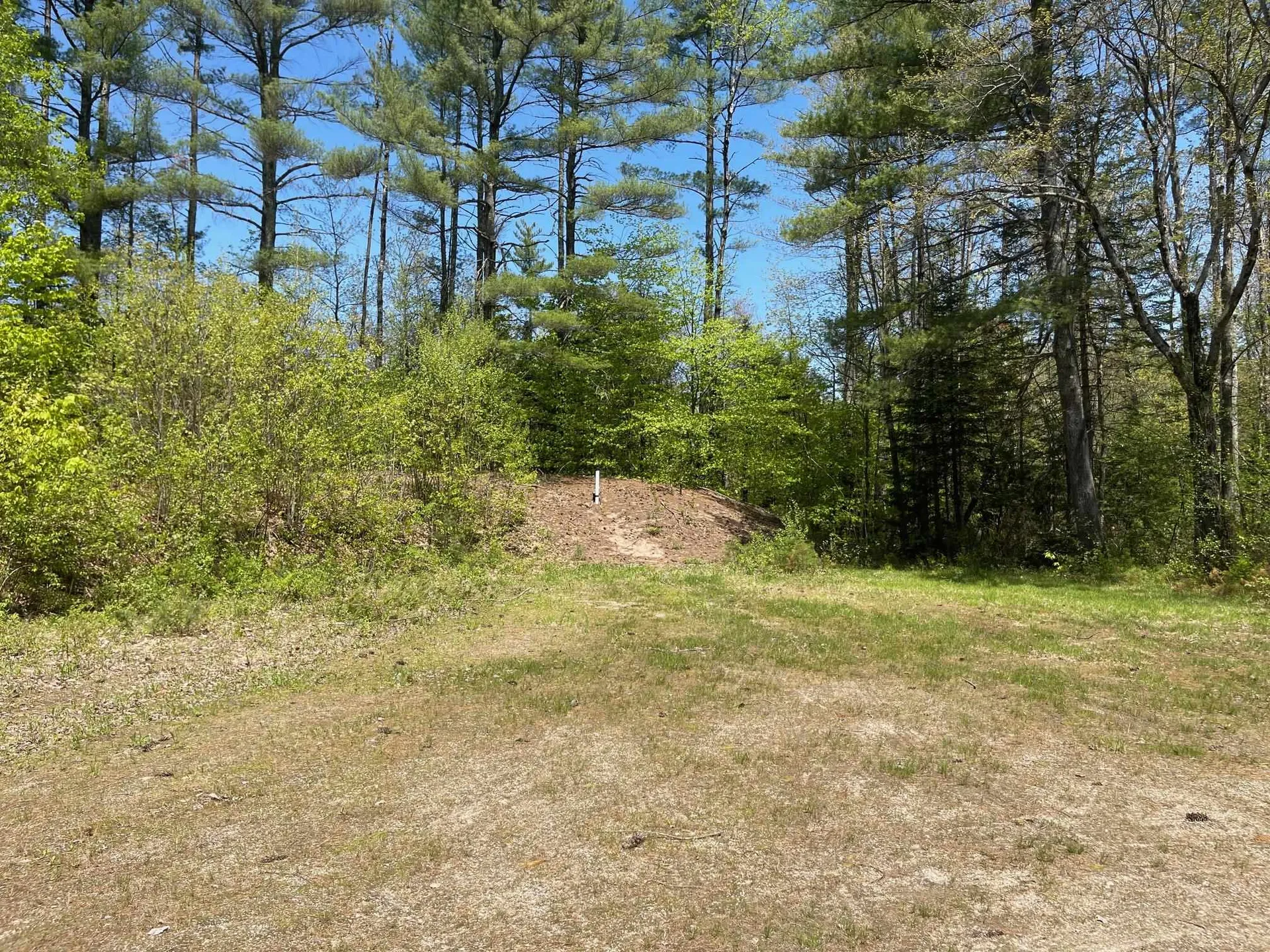 1780 Route 16 Albany NH 03818