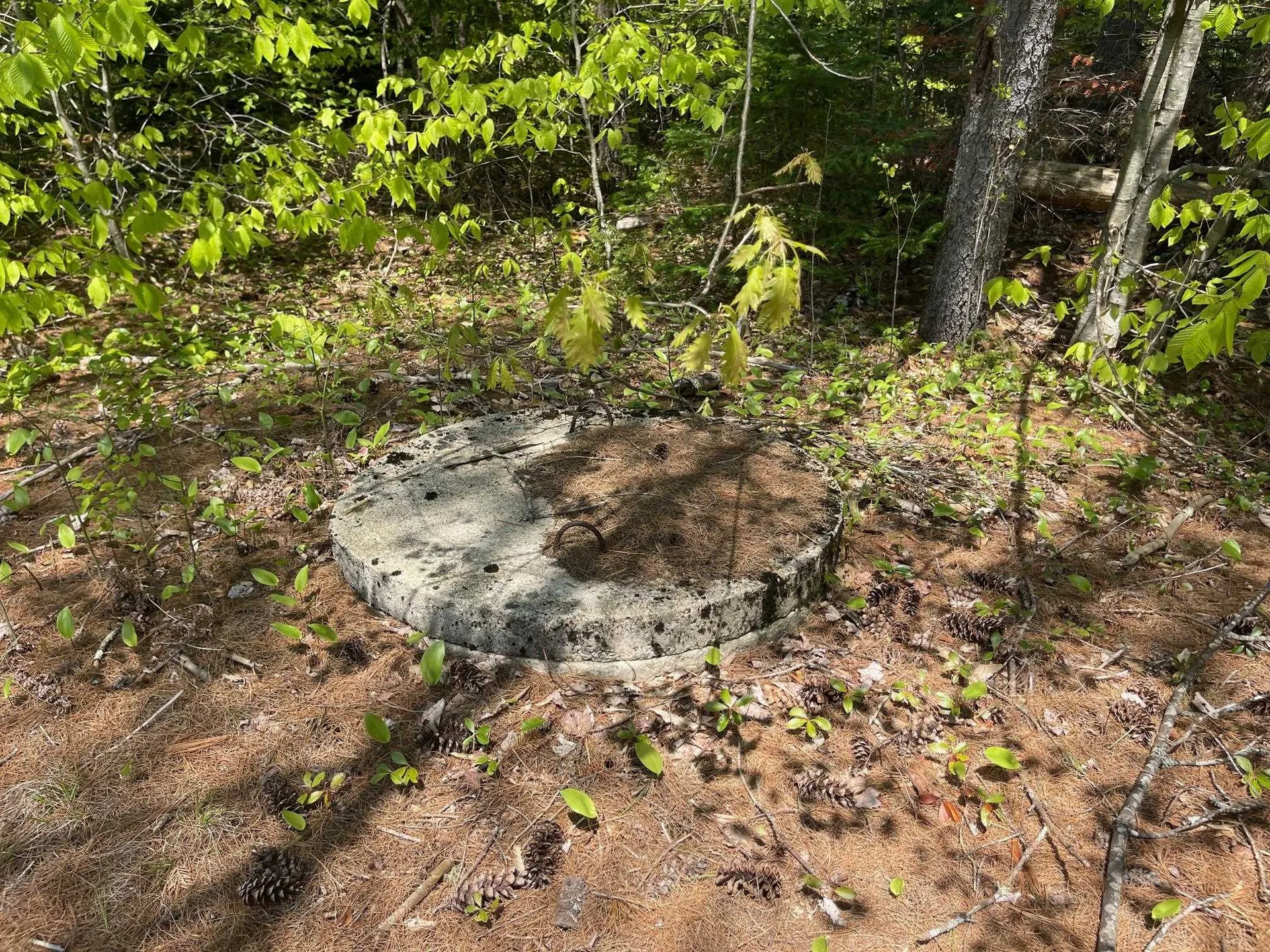 1780 Route 16 Albany NH 03818