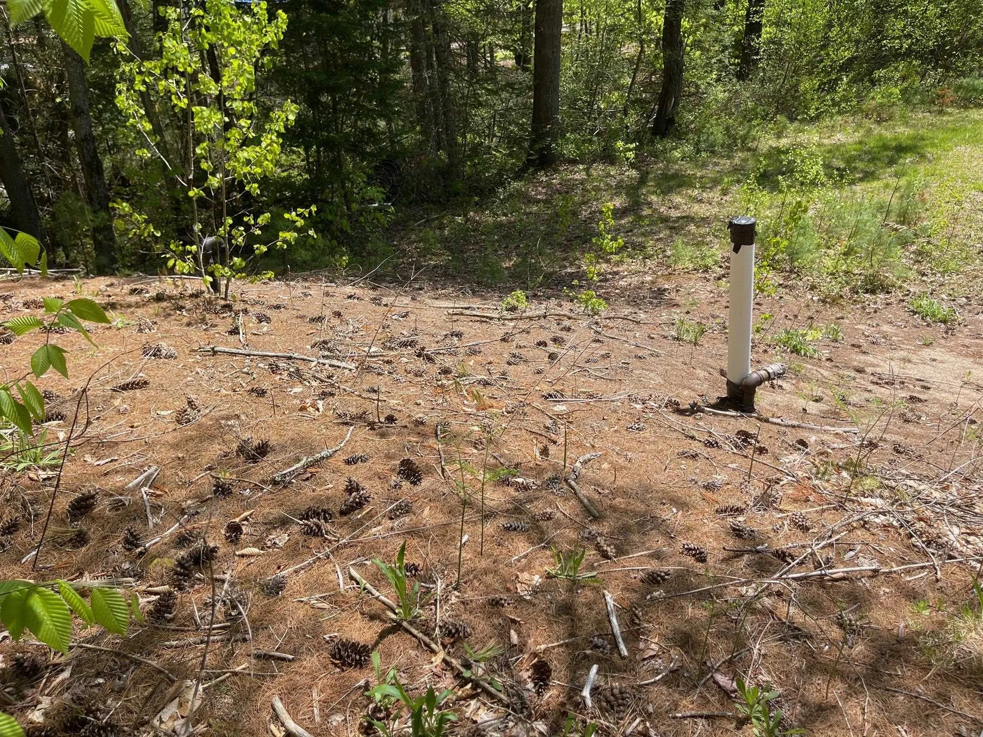 1780 Route 16 Albany NH 03818