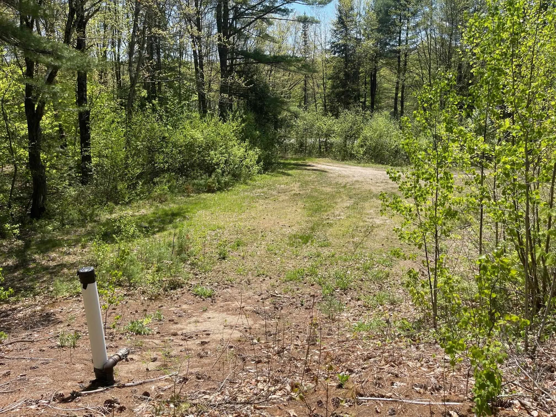 1780 Route 16 Albany NH 03818