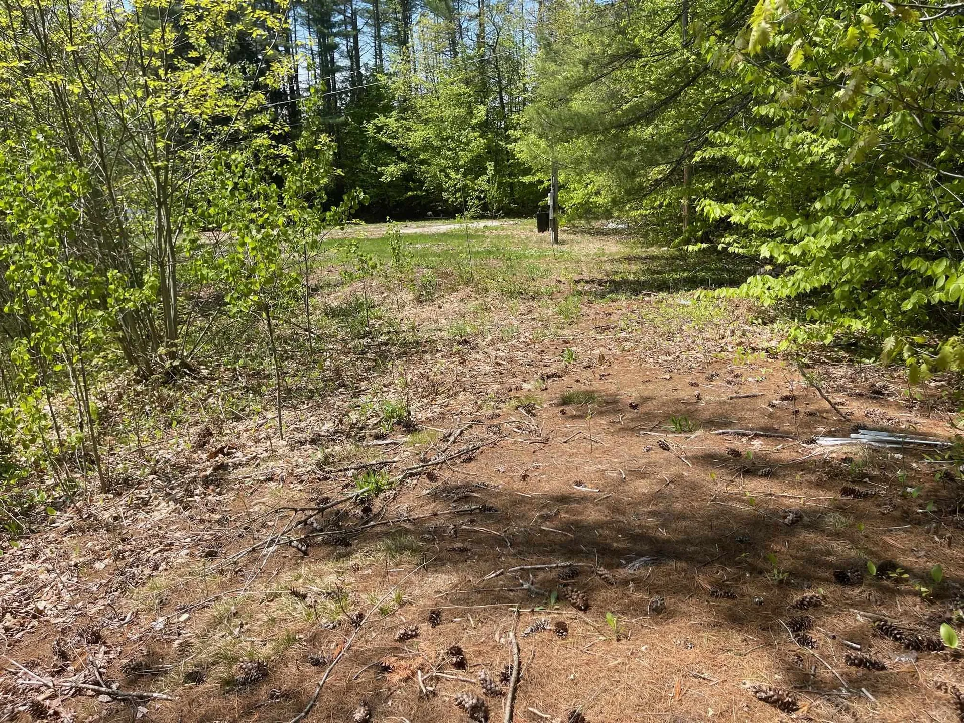 1780 Route 16 Albany NH 03818