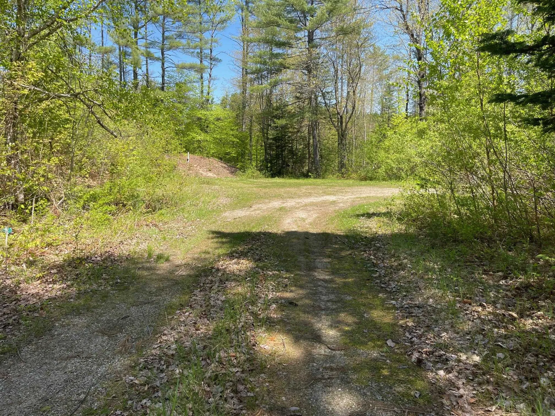 1780 Route 16 Albany NH 03818