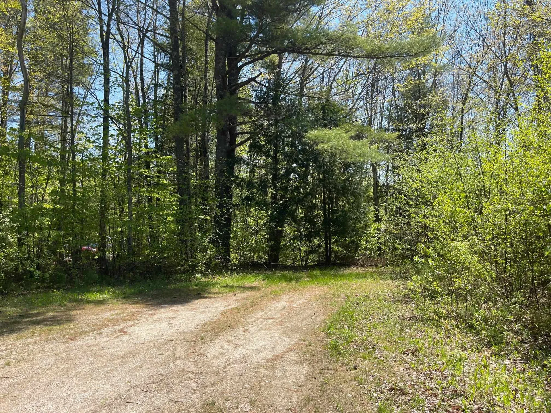 1780 Route 16 Albany NH 03818