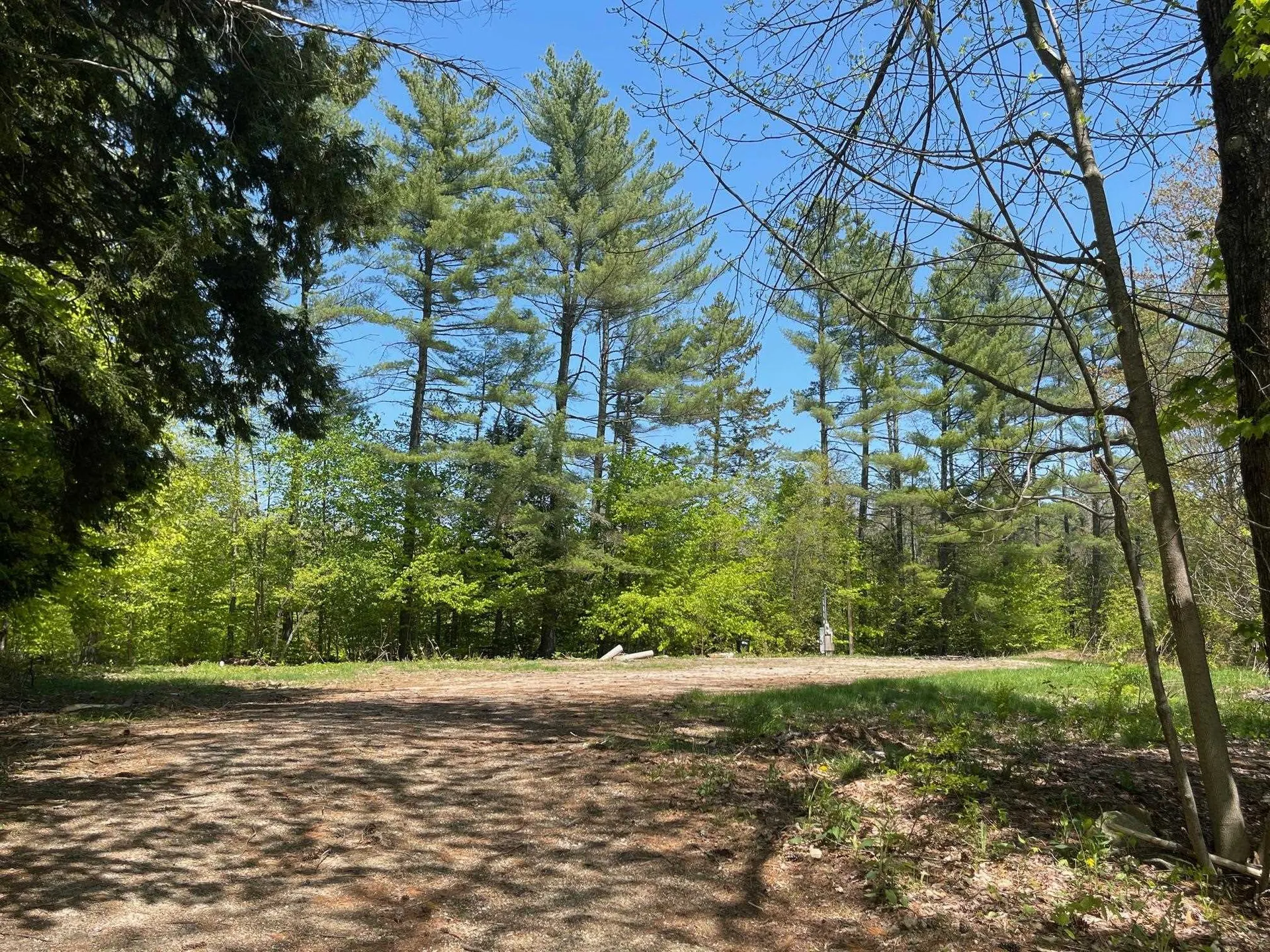 1780 Route 16 Albany NH 03818