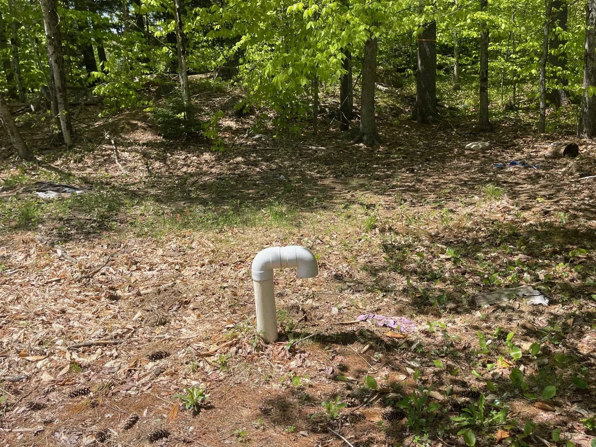 1780 Route 16 Albany NH 03818