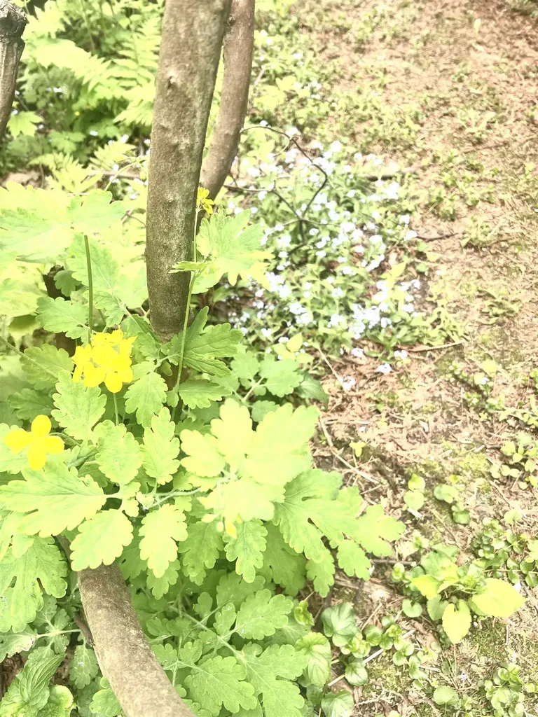 316 Putney Road Brattleboro VT 05301