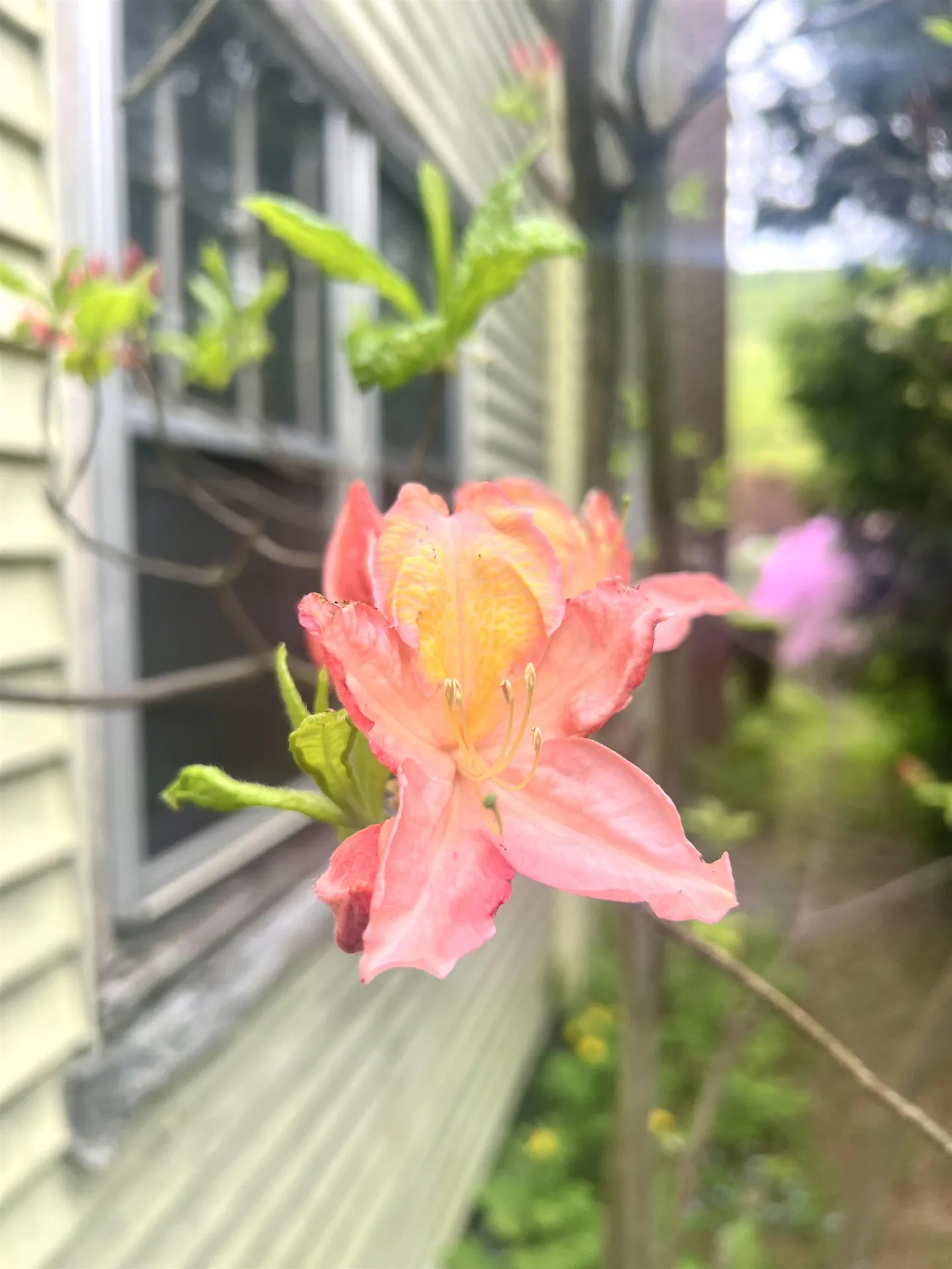 316 Putney Road Brattleboro VT 05301