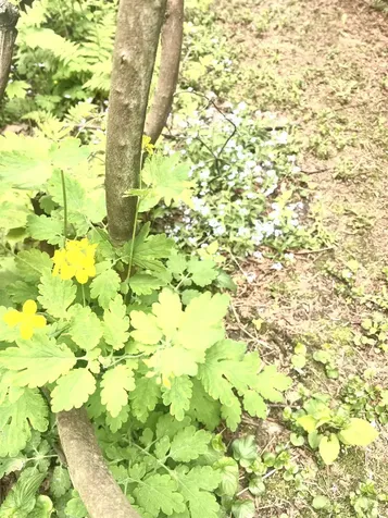 316 Putney Road Brattleboro VT 05301