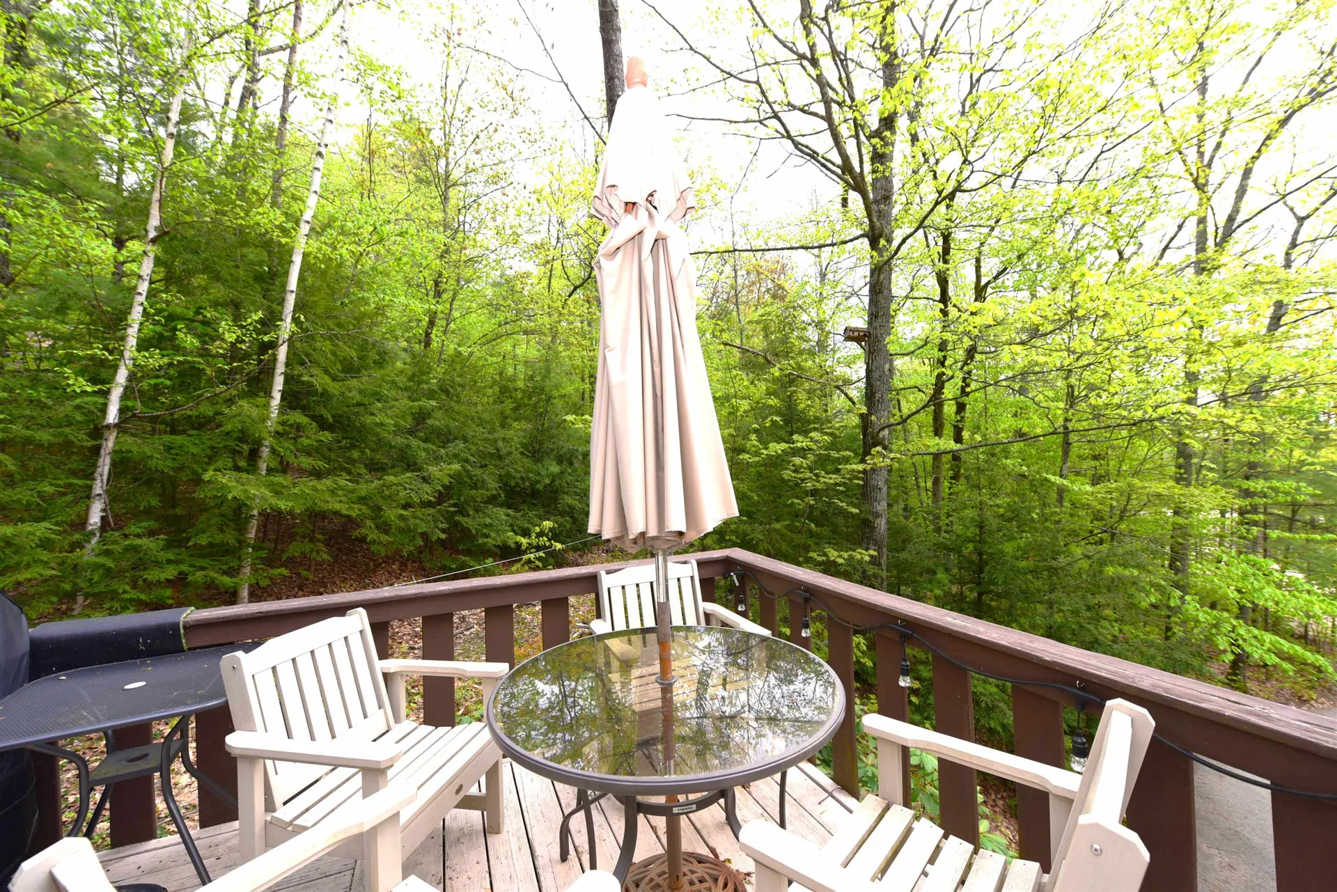 5 Chocorua View Drive Madison NH 03849