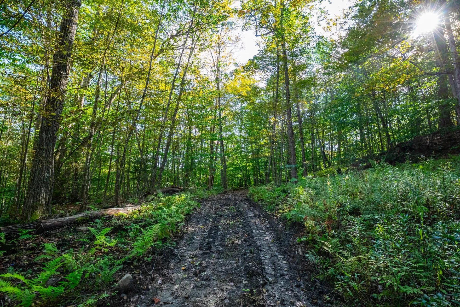 00 Granite Ledge Pomfret VT 05059