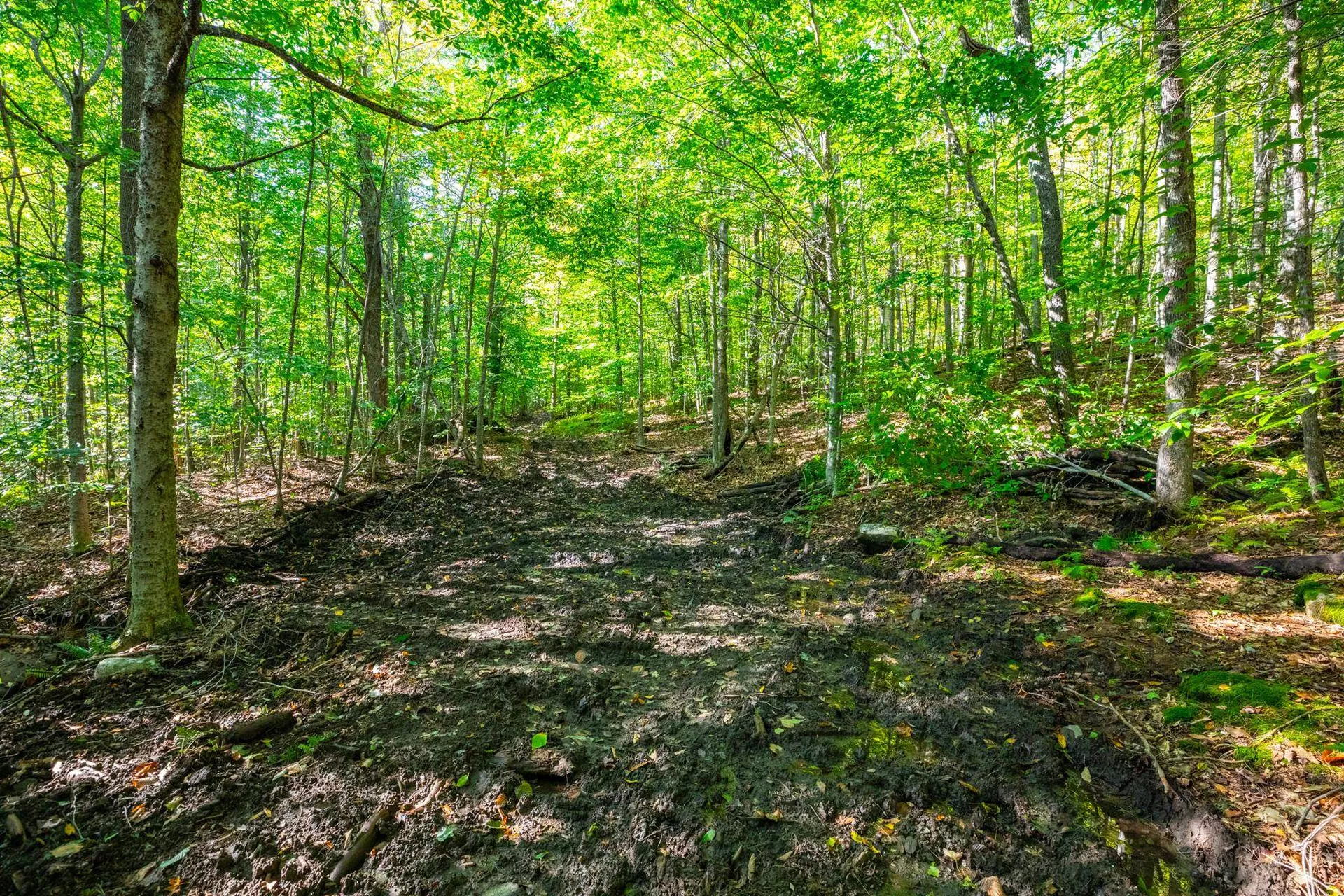 00 Granite Ledge Pomfret VT 05059