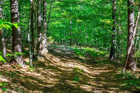 00 Granite Ledge Pomfret VT 05059