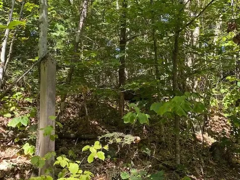 86 Route 103 Sutton NH 03260