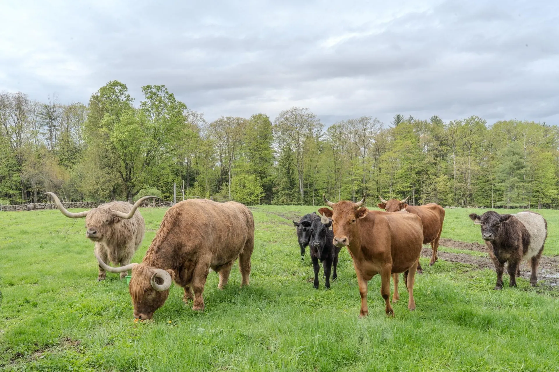 55-56 Whitehouse Road Loudon NH 03307