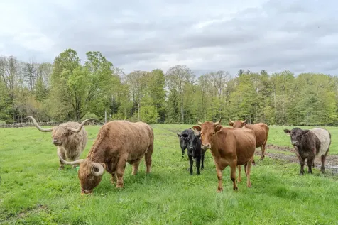 55-56 Whitehouse Road Loudon NH 03307